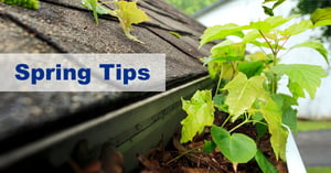 Clogged roof gutter in need of maintenance