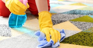 Carpet Cleaning