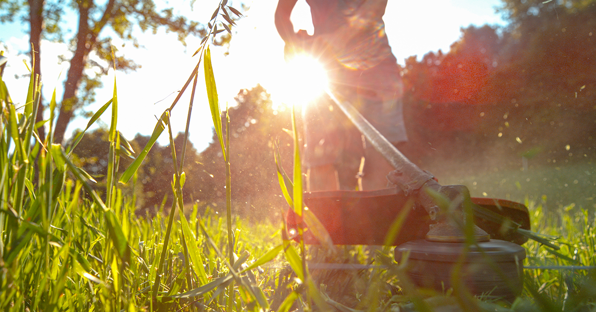 Male gardener mowing the lawn