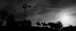 Texas_Cowboys