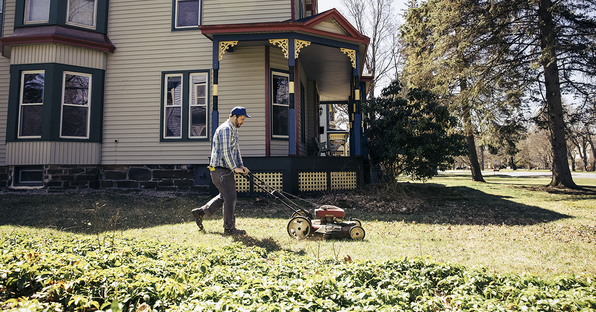 Lawn Care 101